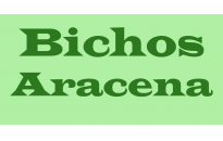 Bichos Aracena
